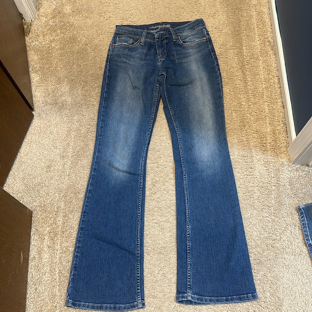 American Eagle Hipster Jeans